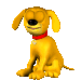 Rover the dog