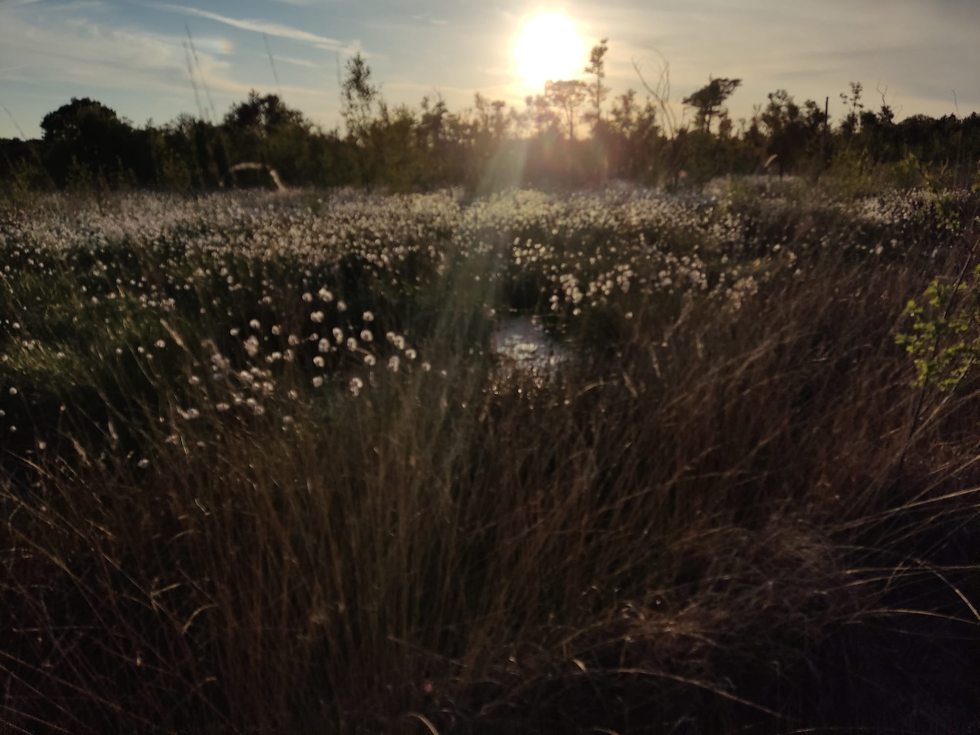 nature3
